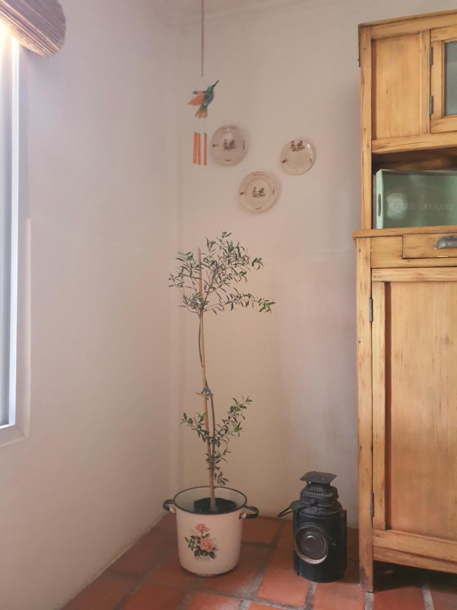 Casa Colibri